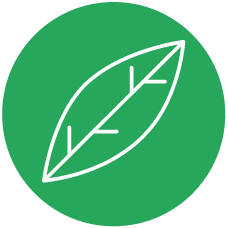 Leaf icon